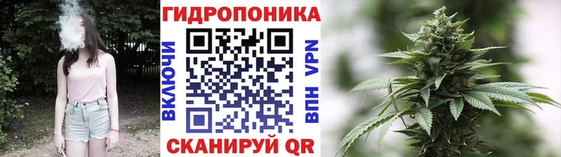 где можно купить наркотик  Острогожск  Бошки Шишки White Widow 